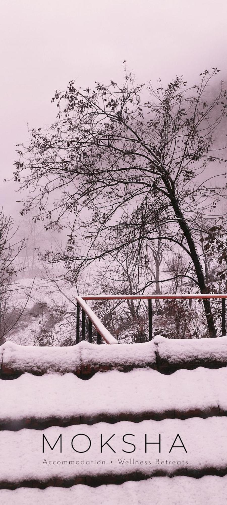 Moksha Slovenia Tolmin Buitenkant foto